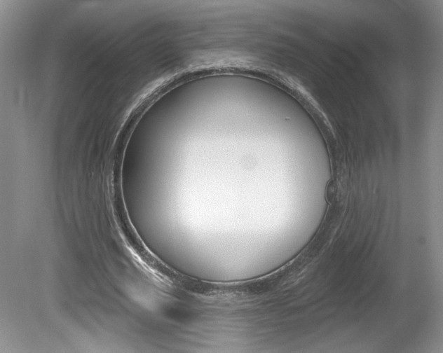 X0000080100629200612080930