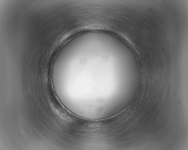 X0000080100631200612080930