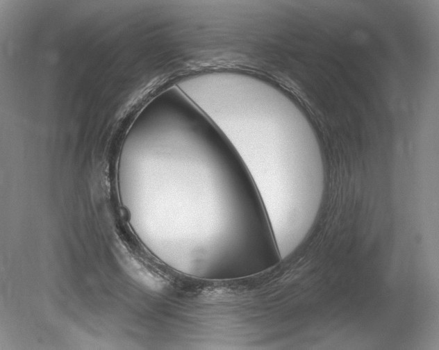 X0000080100634200612080930