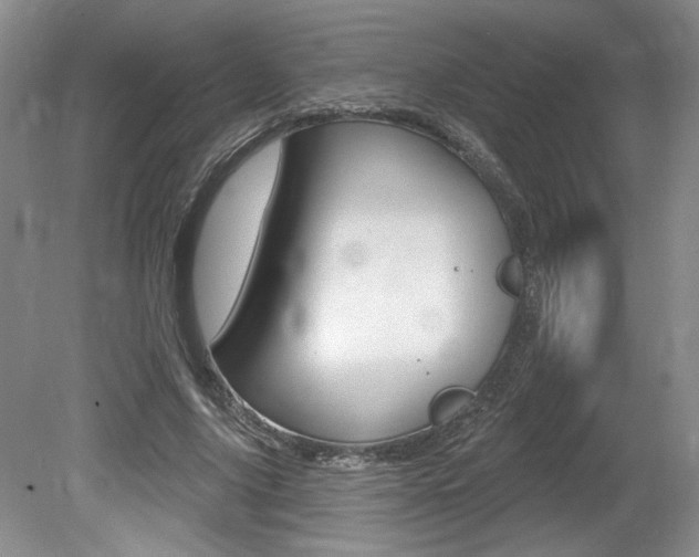 X0000080100635200612080930