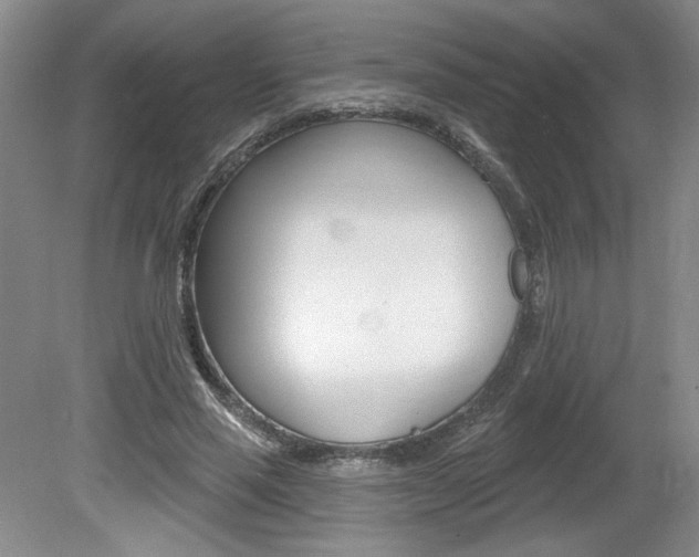 X0000080100637200612080930