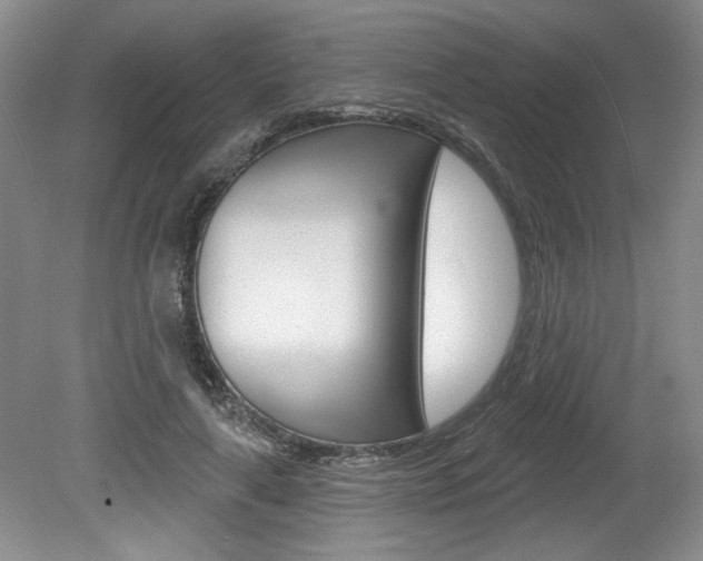 X0000080100643200612080930