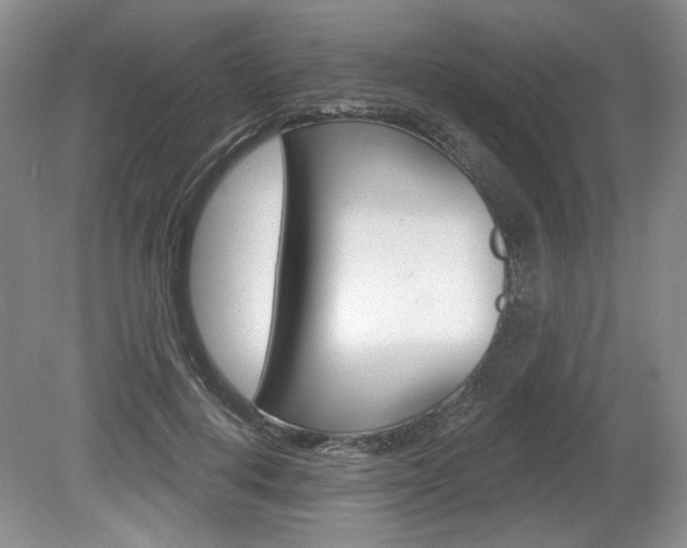 X0000080100648200612080930