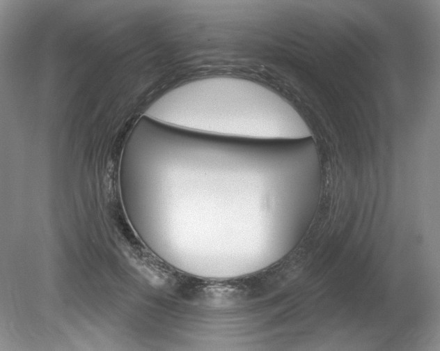 X0000080100650200612080930