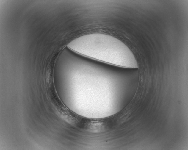 X0000080100651200612080930