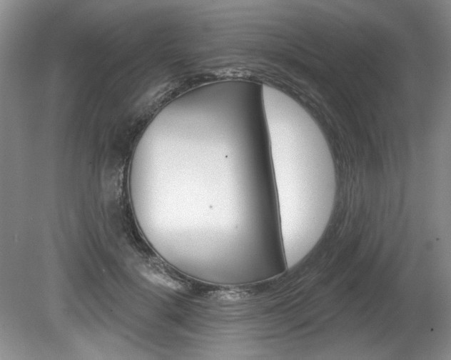 X0000080100652200612080930