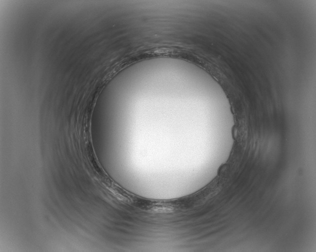 X0000080100653200612080930
