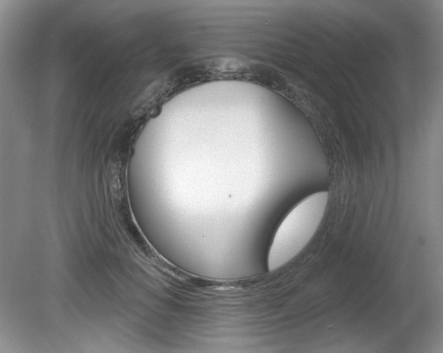 X0000080100654200612080930