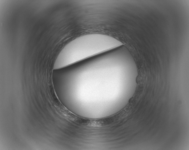 X0000080100656200612080931
