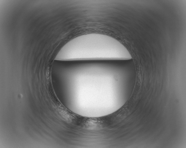 X0000080100657200612080931