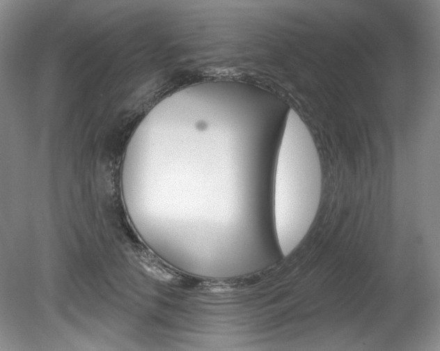 X0000080100658200612080931