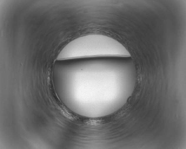X0000080100664200612080931