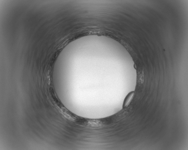 X0000080100666200612080931