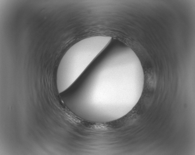 X0000080100668200612080931
