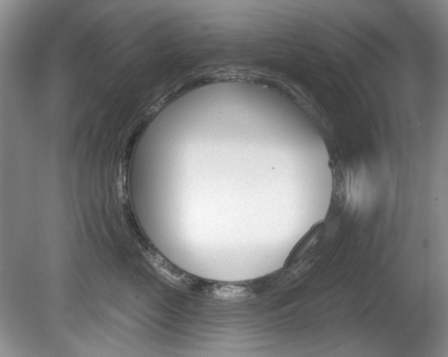 X0000080100669200612080931