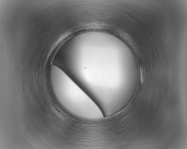 X0000080100675200612080930