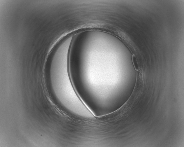 X0000080100676200612080930