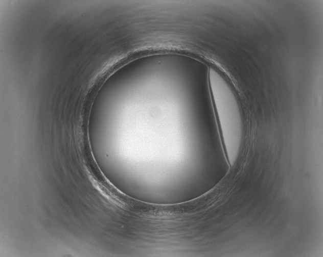 X0000080100677200612080930