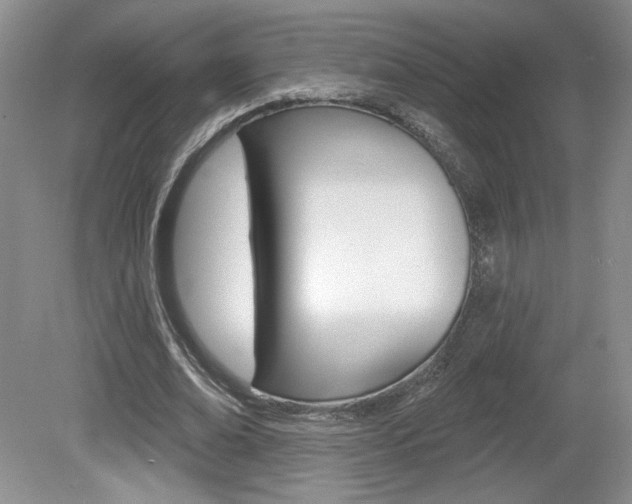 X0000080100678200612080930