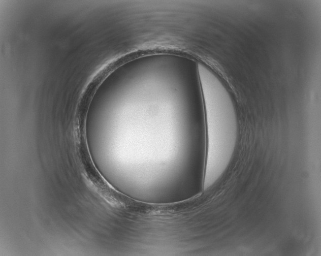 X0000080100680200612080930