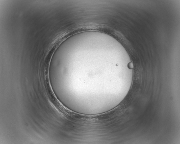 X0000080100683200612080930