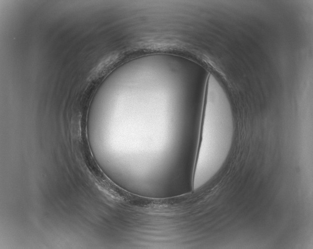 X0000080100685200612080930