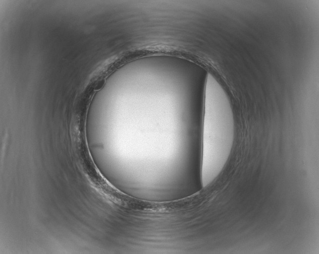X0000080100688200612080930