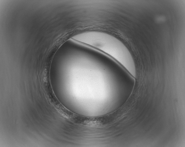 X0000080100689200612080930