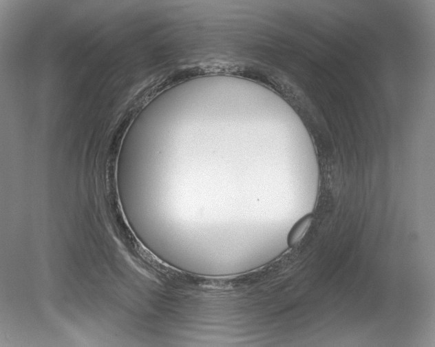 X0000080100690200612080930