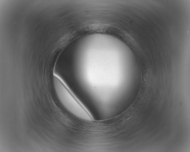 X0000080100693200612080930