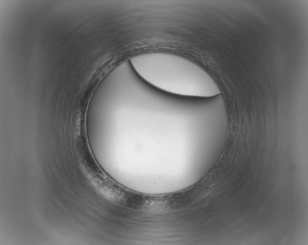 X0000080100694200612080930