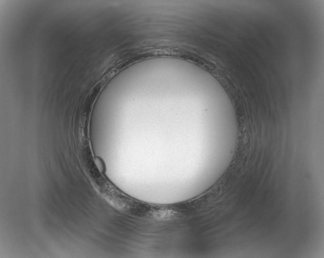 X0000080100695200612080930