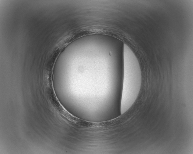 X0000080100696200612080930