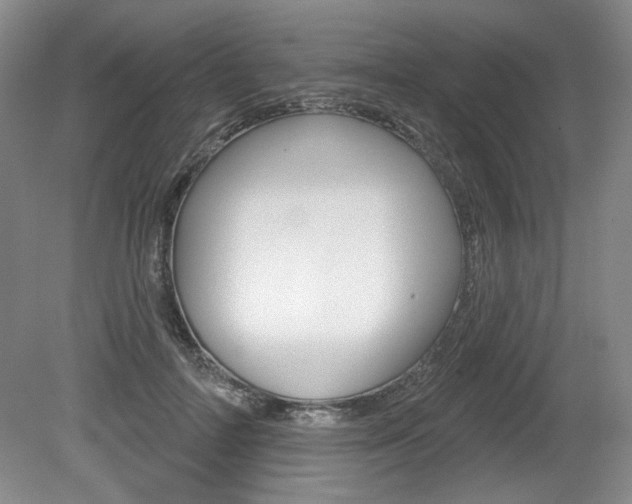X0000080100698200612080930