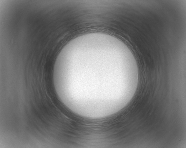X0000080100701200612080929