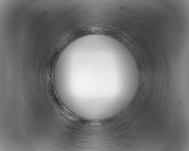 X0000080100702200612080929