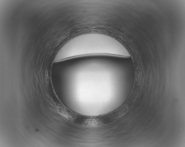 X0000080100704200612080929