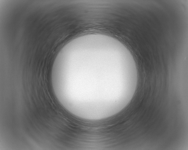 X0000080100705200612080929