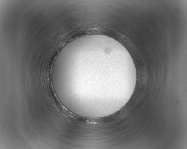 X0000080100706200612080929