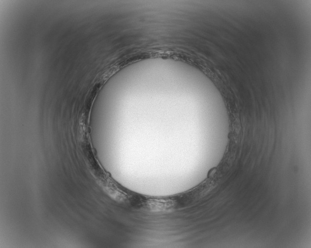 X0000080100707200612080929