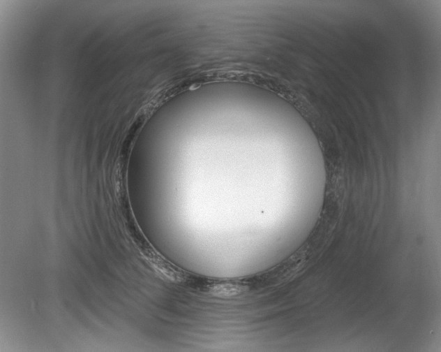X0000080100708200612080929
