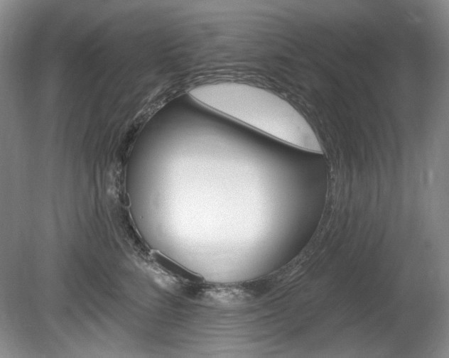 X0000080100712200612080929