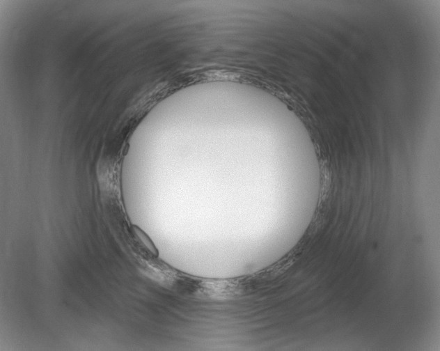 X0000080100713200612080929
