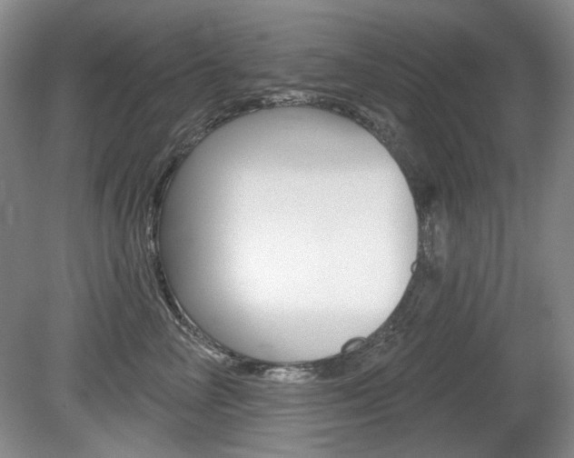 X0000080100714200612080929