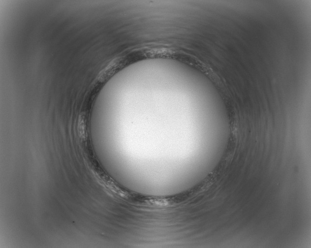 X0000080100715200612080929