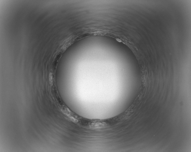 X0000080100716200612080929