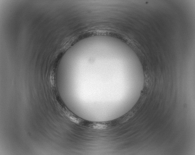 X0000080100718200612080929