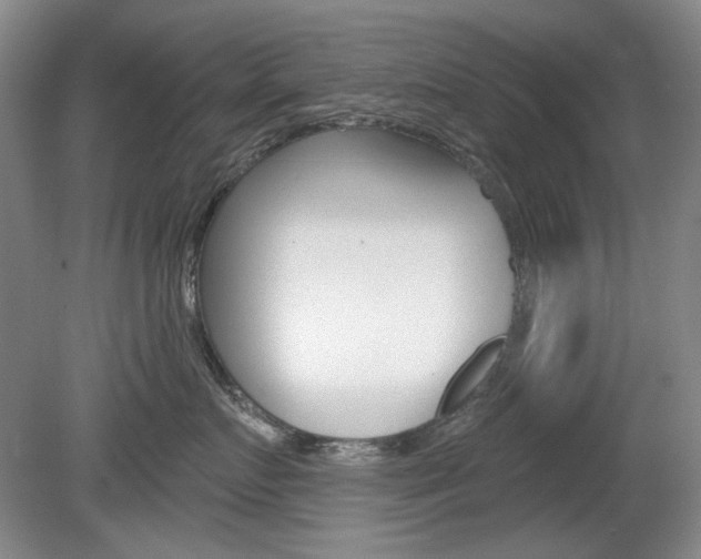 X0000080100719200612080929