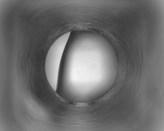 X0000080100720200612080929