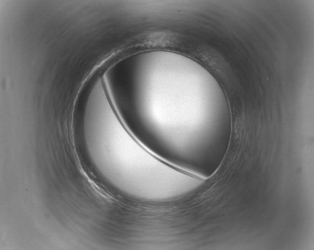 X0000080100722200612080928